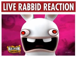 LIVE RABBID REACTION Meme Template