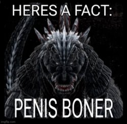 Here's a fact; penis boner Meme Template