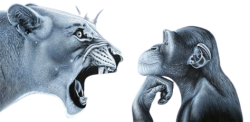 tiger yell at pondering monkey transparent Meme Template