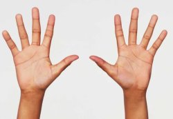 Two Hands Meme Template