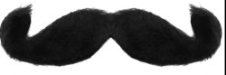 Funny moustache Meme Template