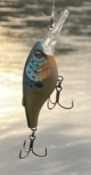 Blue gill Meme Template