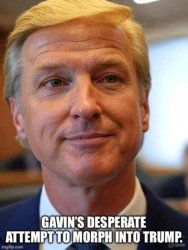 Gavin Newsom with Trump haircut Meme Template