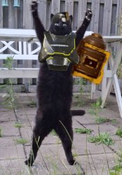 helldiver cat Meme Template