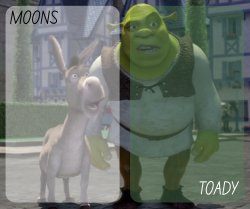 moons and toady - donkey n shrek temp Meme Template