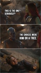 The choices were him or a tree Meme Template