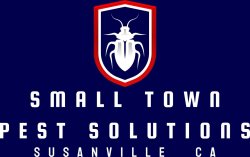 Small Town Pest Meme Template