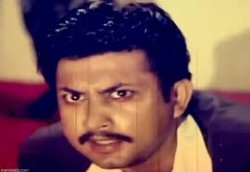 Tui Tahole Meme Template