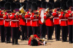 British Grenadier dying Meme Template