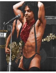 Prince in panties Meme Template