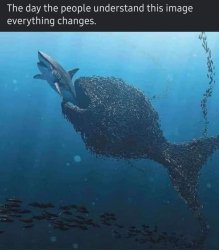 The day the people understand this image everything changes Meme Template