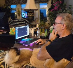 Cat supervisor Meme Template