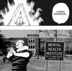 Domain Expansion Mental Health Institute Meme Template
