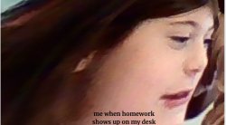 homework Meme Template