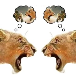 double screaming lion Meme Template