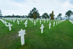 Cemetery Normandy Meme Template
