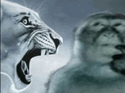 Tiger roaring at the thinking monkey Meme Template