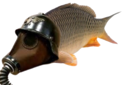 Death Carps of Krieg Meme Template