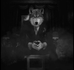 Wolf on a chair Meme Template