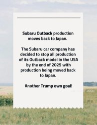 Blame Trump Meme Template