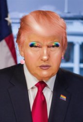 Realistic Donald Trump as Drag Queen Meme Template