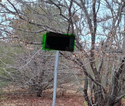 Sign of wisdom Meme Template