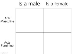 Is a Male/Female is Masculine/Feminine Board Meme Template