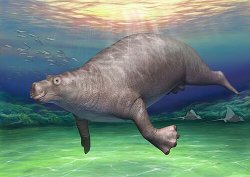 Ancient Aquatic Sloth Meme Template