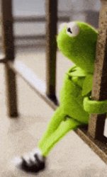 KERMIT Meme Template