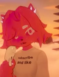 spray bobtle Meme Template