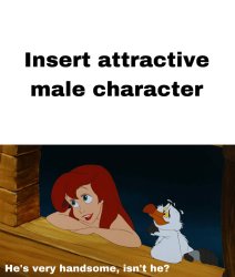 ariel finds who attractive ? Meme Template