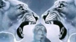 Lion roaring at lion with confused monkey Meme Template