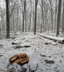Eating a baconator in the woods Meme Template