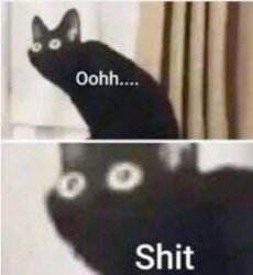 Blackcat oh cracp Meme Template