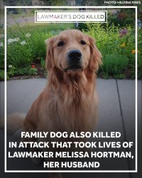 Gilbert Coin Meme Template