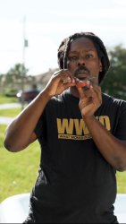 Omgitswicks violin meme Meme Template