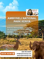 Amboseli National Park Kenya Meme Template