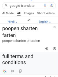 Google translate Meme Template