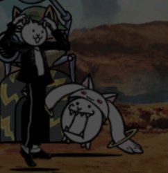 The flabbergasted cats Meme Template