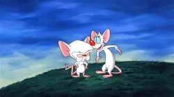 Pinky and the Brain Meme Template