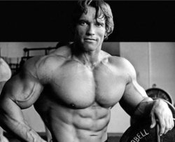 Arnold Meme Template