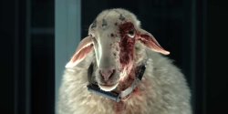 Alien Earth Sheep Meme Template