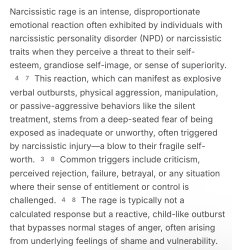 Narcissistic Rage Meme Template