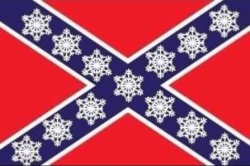 Confederate Snowflake flag Meme Template