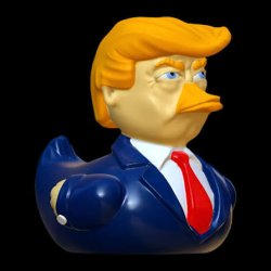 Donald Trump Duck Meme Template