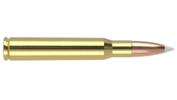 bullet .30-06 Meme Template