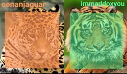 conanjaguar x immaddoxyou shared temp Meme Template