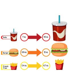 Portion Size Comparison Meme Template