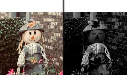 Scarecrow Meme Template