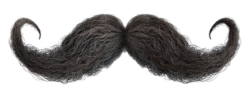 Handlebar Moustache Meme Template